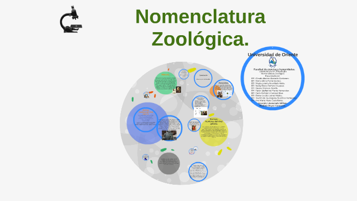 Nomenclatura Zoológica. By Ana Maza Castellanos On Prezi