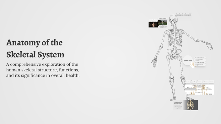 Anatomy of the Skeletal System by Hamdi Mohamed on Prezi