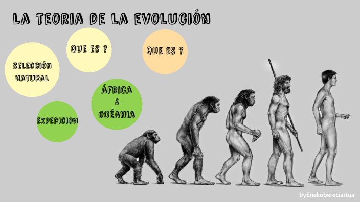 Teoria de la Evolucion by eneko bereziartua