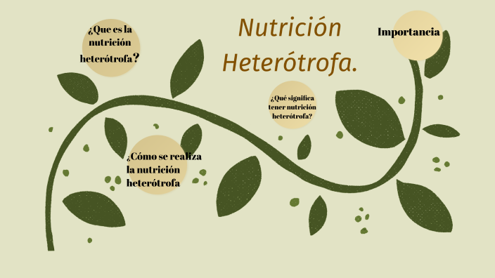 nutrición heterótrofa en animales