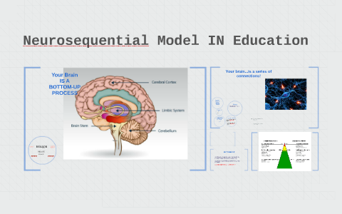 Neurosequential Model IN Education by Cheryl Rosenbaum on Prezi