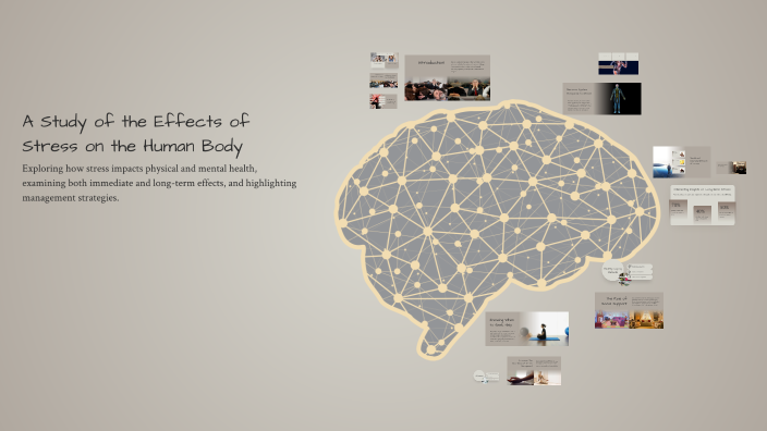 A Study of the Effects of Stress on the Human Body by Ella Englund on Prezi