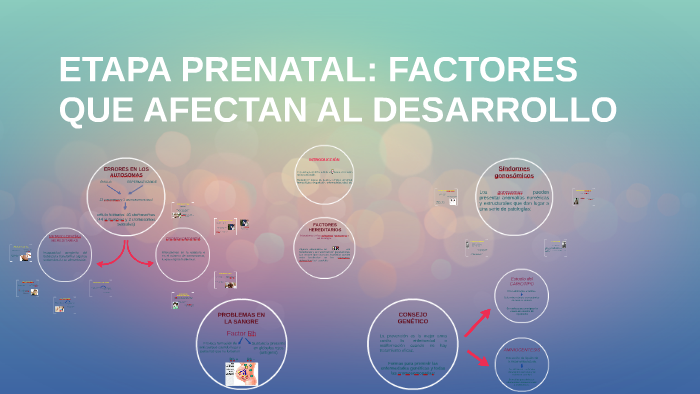 ETAPA PRENATAL: FACTORES QUE AFECTAN AL DESARROLLO by MªTeresa Torres ...