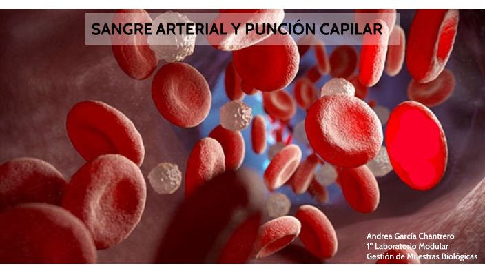 SANGRE ARTERIAL Y PUNCIÓN CAPILAR by Andrea García Chantrero on Prezi