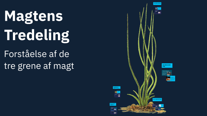 Magtens Tredeling By Nicoline Ree Deleuran On Prezi magtens-tredeling-by-nicoline-ree-deleuran-on-prezi