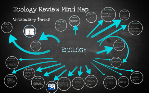 Ecology Review Mind Map by Farida Sakr on Prezi