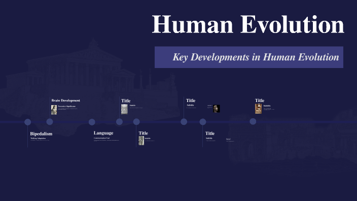 Human Evolution by Bilal Babar on Prezi