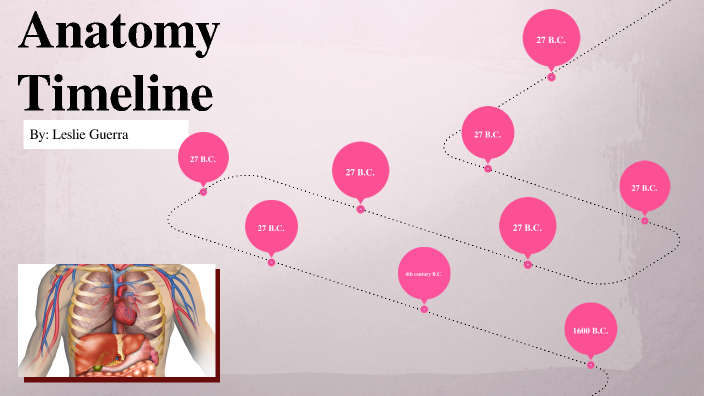 Anatomy timeline by Leslie Guerra on Prezi