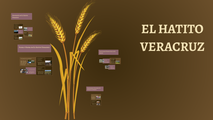 EL HATITO VERACRUZ by yamil zair ruiz garcia on Prezi