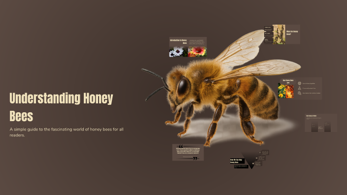 Understanding Honey Bees by nastrr. aa on Prezi