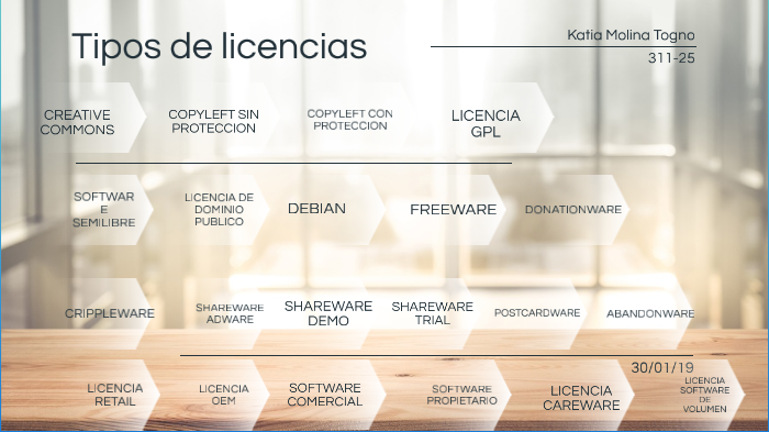 Tipos De Licencia De Software By Katia Molina Togno