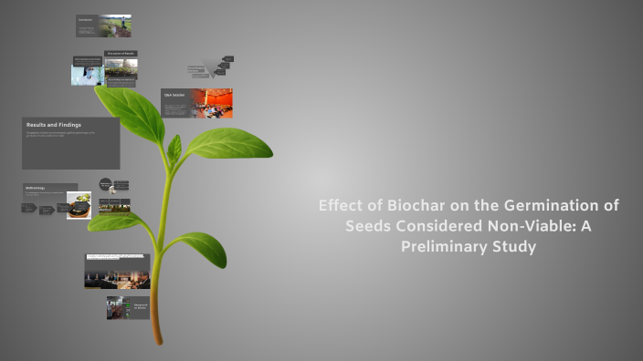Effect of Biochar on the Germination of Seeds Considered Non-Viable: A ...