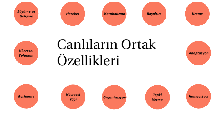 Canlilarin Ortak Ozellikleri By Muhammed Faik Ekiciler On Prezi Next