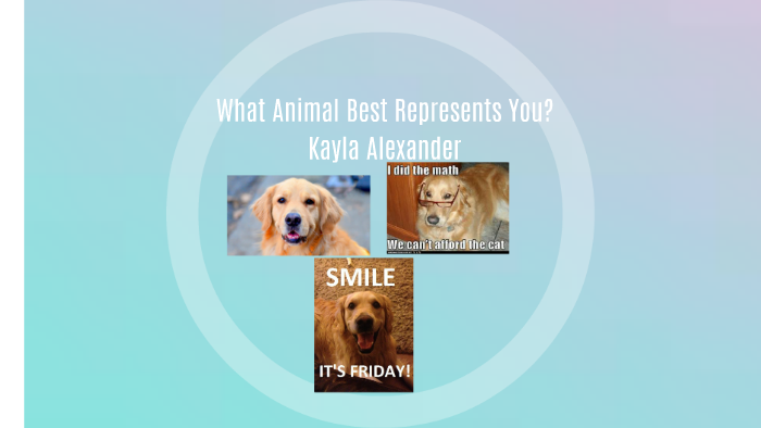 What Animal Best Represents You? by Kayla Alexander