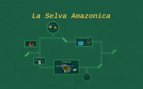 La Selva Amazonica by Rodrigo Prince on Prezi