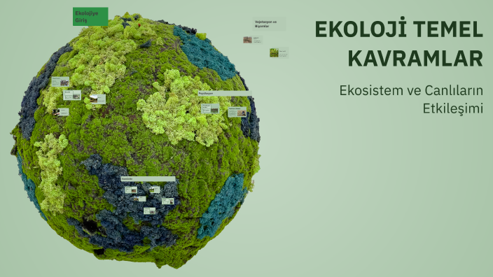 EKOLOJİ TEMEL KAVRAMLAR by Fatma Betül Ünsal on Prezi