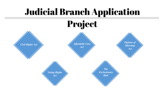 judicial branch research project