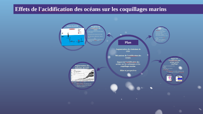 Effets De L'acidification Des Océans Sur Les Coquillages Marins By ...