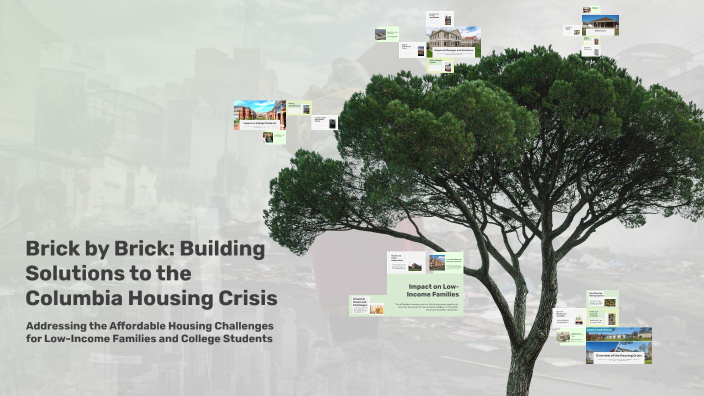 Brick by Brick: Building Solutions to the Columbia Housing Crisis by ...