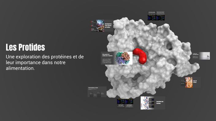 Portides Les Protides by Lounis Arbi on Prezi