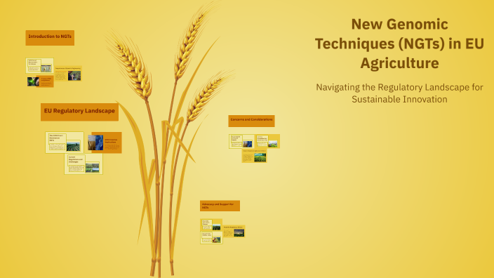 New Genomic Techniques NGTs In EU Agriculture By Samuele Bonanomi On new-genomic-techniques-ngts-in-eu-agriculture-by-samuele-bonanomi-on