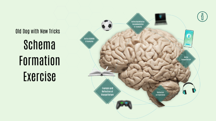 Schema Formation Exercise by Tracie Mayberry on Prezi