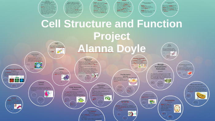 cell-structure-and-function-project-by-alanna-doyle