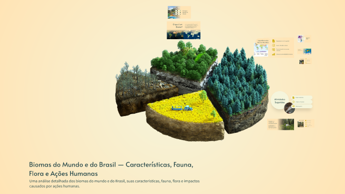 Biomas do Mundo e do Brasil — Características, Fauna, Flora e Ações ...