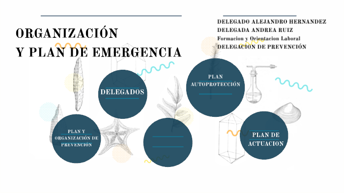 ORGANIZACION DE LA PREVENCION Y DESARROLLO PLAN DE EMERGENCIA by ...