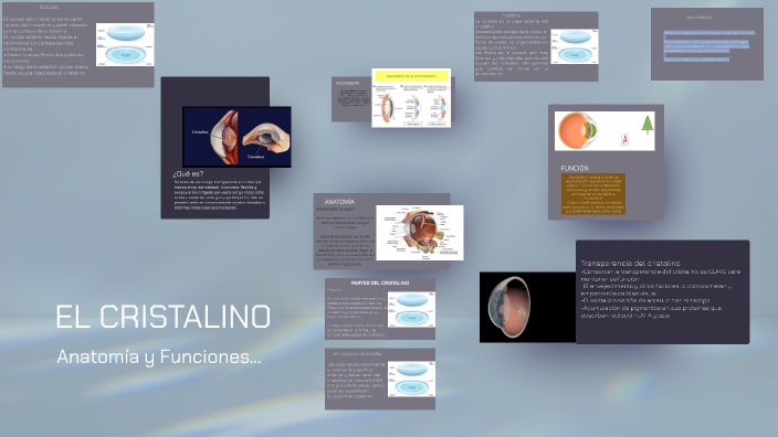 El Cristalino by Leslie Estela Jiménez Carranza on Prezi