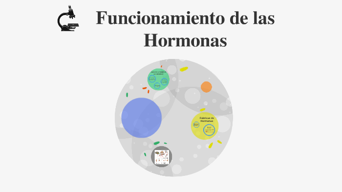 Funcionamiento de las Hormonas by Idalia Campos on Prezi