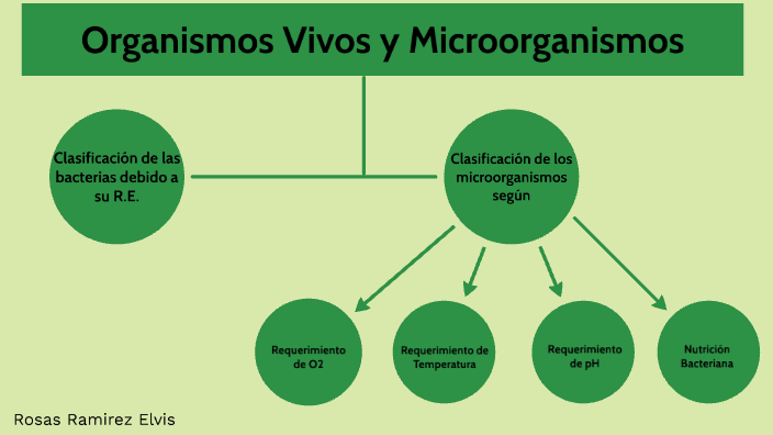 Clasificación de Microorgnismos by Elvis Rosas