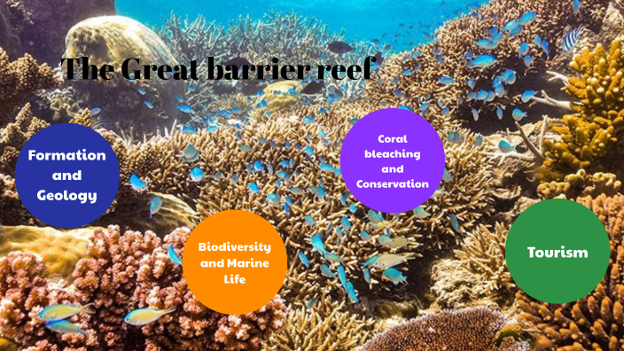 The Great Barrier Reef by Ludovico Esposito on Prezi