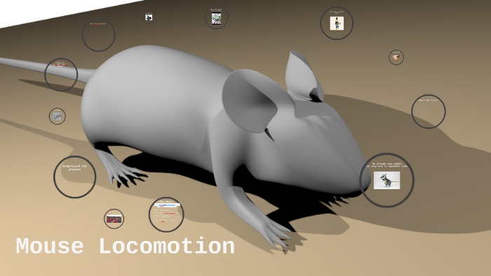 Mouse Locomotion by on Prezi