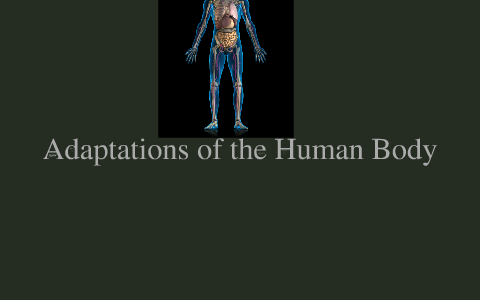 Adaptability of the Human Body by BEn Murley on Prezi