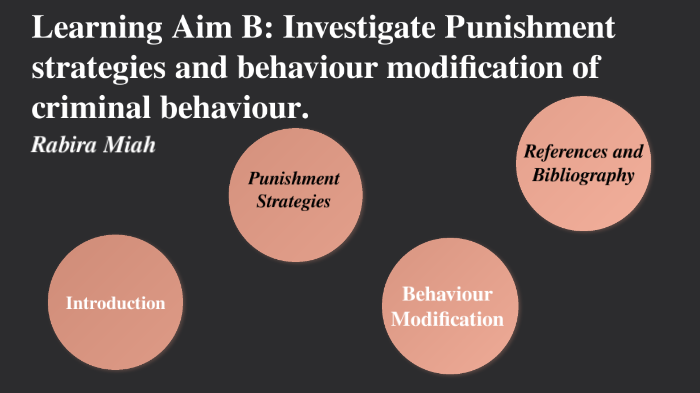 Learning Aim B: Investigate Punishment Strategies And Behaviour ...