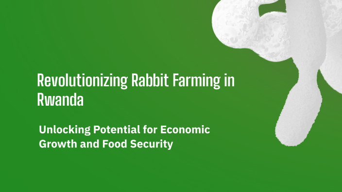Revolutionizing Rabbit Farming in Rwanda by Shema Bisengimana on Prezi