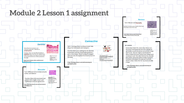 Module 2 Lesson 1 assignment by Vasili Labrakis on Prezi