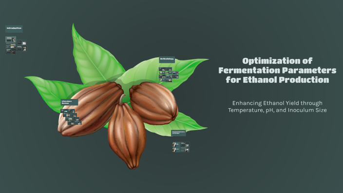 Optimization of Fermentation Parameters for Ethanol Production by Amare ...