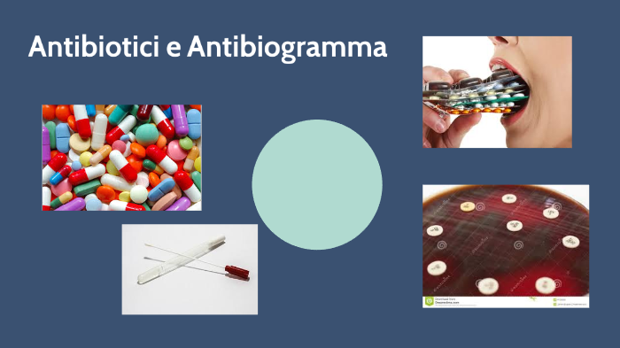 Antibiotici E Antibiogramma By Giulia Graziani On Prezi