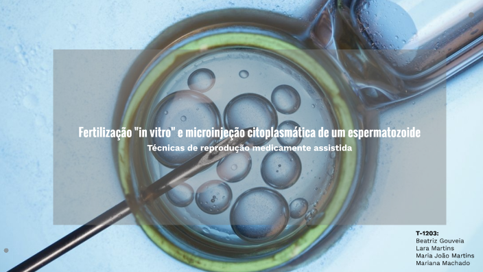 Fecundação in vitro e microinjeção citoplasmática de um espermatozoide ...