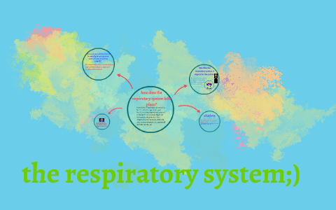 the respiratory system;) by erica sprinkle on Prezi