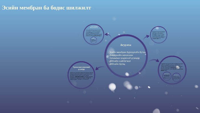 эсийн мембран ба бодис шилжилт by Отгонбаярын Цацрал on Prezi