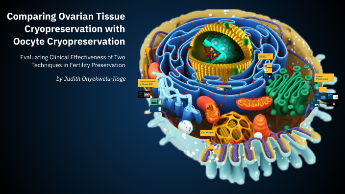 Comparing Ovarian Tissue Cryopreservation with Oocyte Cryopreservation ...
