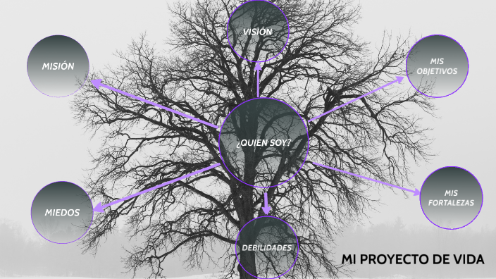 MI PROYECTO DE VIDA by xiomara murillo on Prezi