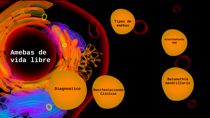 ciclo de vida de la acanthamoeba