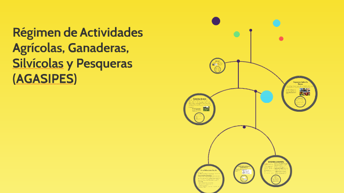 Regimen de Actividades Agricolas, Ganaderas, Sevicolas y Pes by