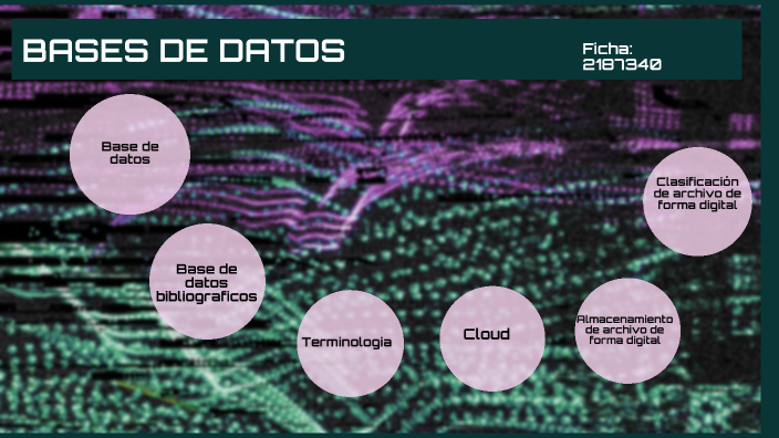 Bases de datos by luisa ortega vargas on Prezi