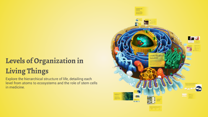 Levels of Organization in Living Things by Riley Linford [STUDENT] on Prezi