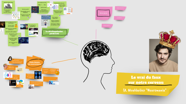 Le vrai du faux sur notre cerveau by Amandine Schneider on Prezi